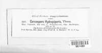 Image Associated With the Occurence